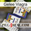 Jelly Viagra 12